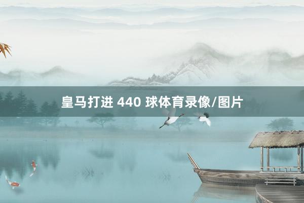皇马打进 440 球体育录像/图片