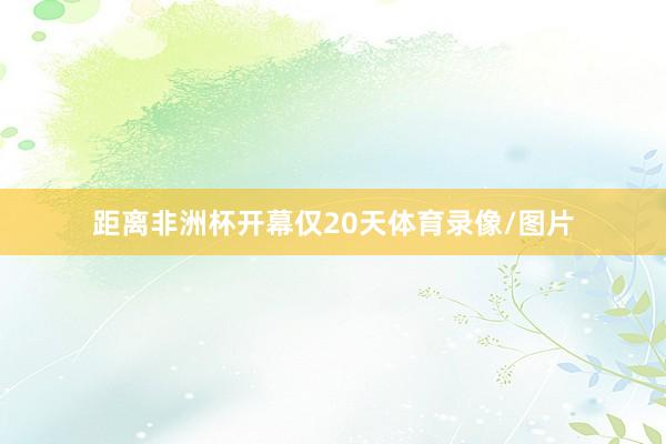 距离非洲杯开幕仅20天体育录像/图片