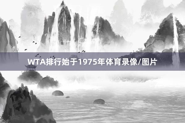 WTA排行始于1975年体育录像/图片