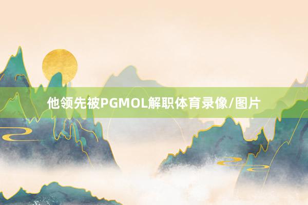 他领先被PGMOL解职体育录像/图片