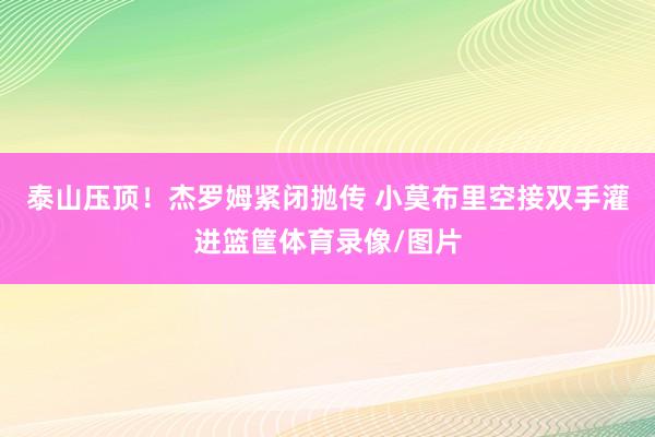 泰山压顶！杰罗姆紧闭抛传 小莫布里空接双手灌进篮筐体育录像/图片