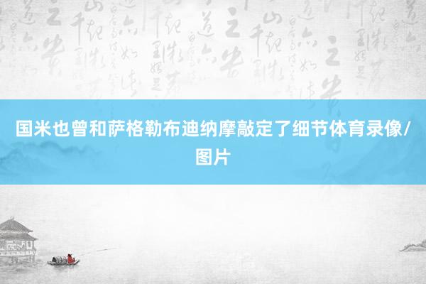 国米也曾和萨格勒布迪纳摩敲定了细节体育录像/图片