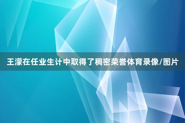 王濛在任业生计中取得了稠密荣誉体育录像/图片