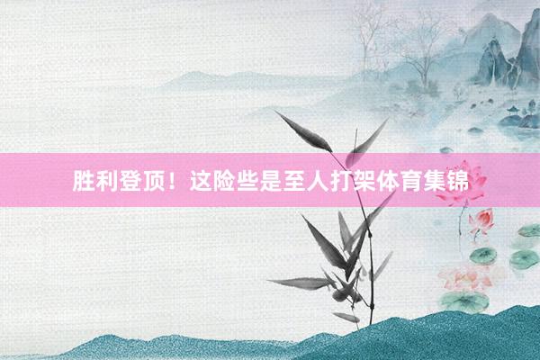 胜利登顶！这险些是至人打架体育集锦