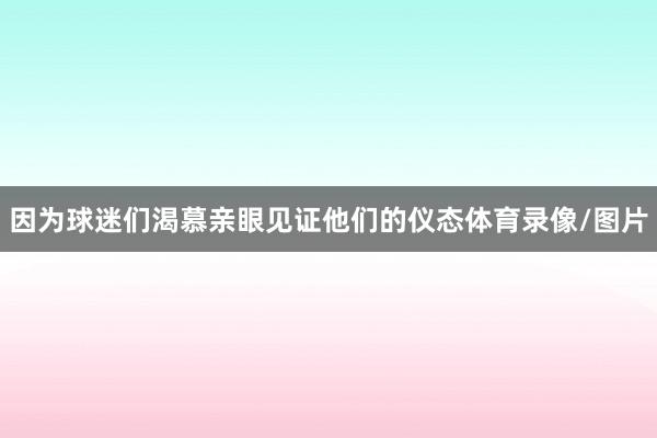 因为球迷们渴慕亲眼见证他们的仪态体育录像/图片