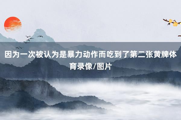 因为一次被认为是暴力动作而吃到了第二张黄牌体育录像/图片