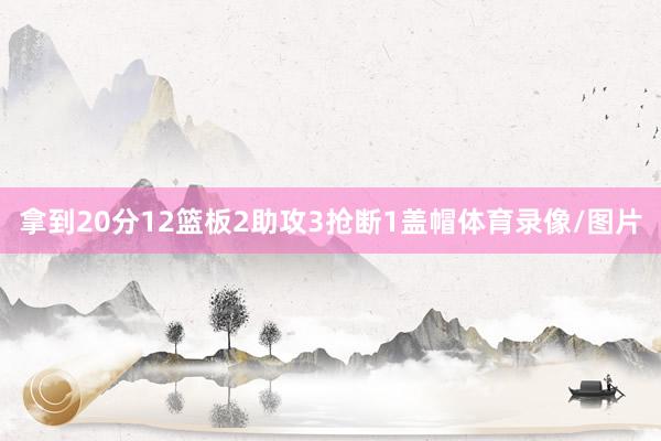 拿到20分12篮板2助攻3抢断1盖帽体育录像/图片