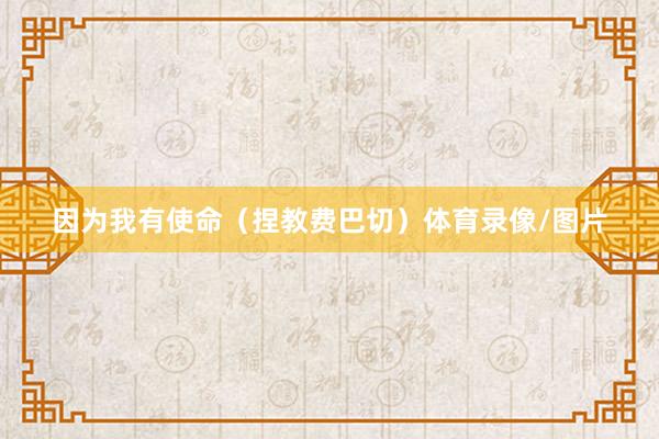 因为我有使命（捏教费巴切）体育录像/图片