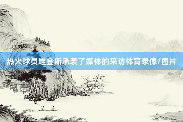 热火球员维金斯承袭了媒体的采访体育录像/图片