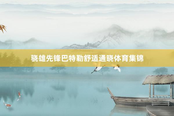 骁雄先锋巴特勒舒适通晓体育集锦