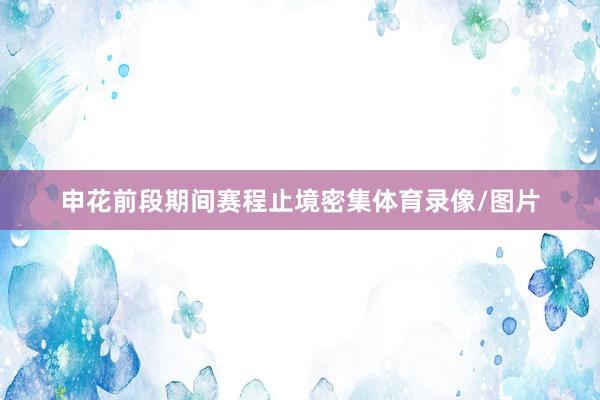 申花前段期间赛程止境密集体育录像/图片