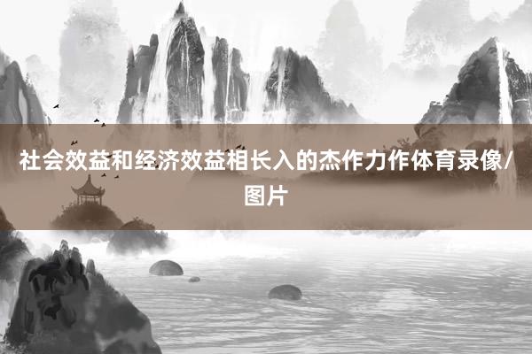 社会效益和经济效益相长入的杰作力作体育录像/图片