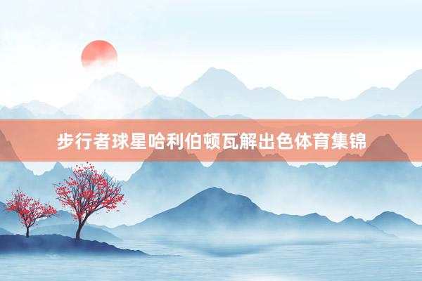 步行者球星哈利伯顿瓦解出色体育集锦