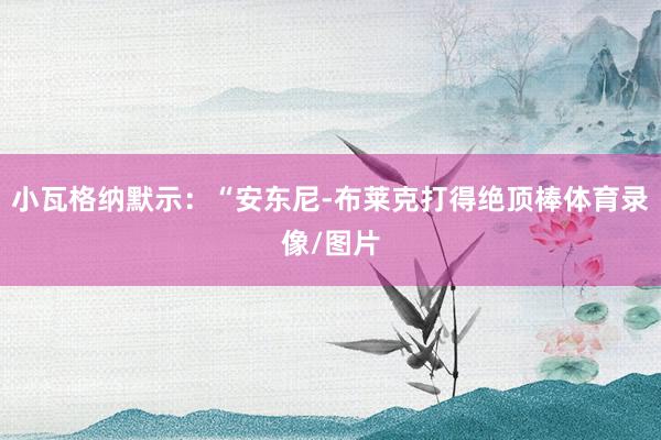 小瓦格纳默示：“安东尼-布莱克打得绝顶棒体育录像/图片