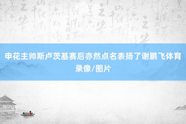 申花主帅斯卢茨基赛后亦然点名表扬了谢鹏飞体育录像/图片