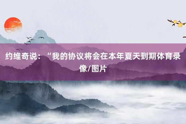 约维奇说：“我的协议将会在本年夏天到期体育录像/图片