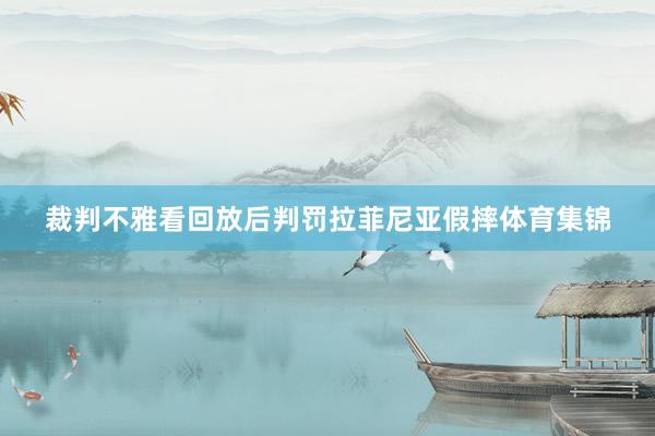 裁判不雅看回放后判罚拉菲尼亚假摔体育集锦