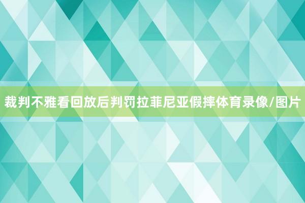 裁判不雅看回放后判罚拉菲尼亚假摔体育录像/图片