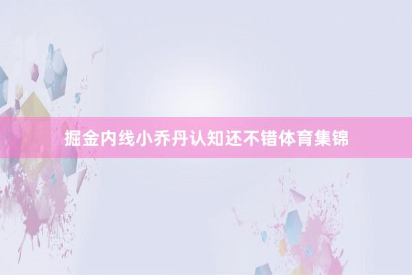 掘金内线小乔丹认知还不错体育集锦
