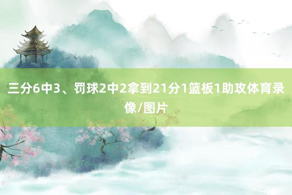 三分6中3、罚球2中2拿到21分1篮板1助攻体育录像/图片