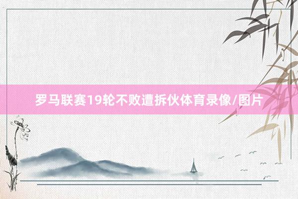 罗马联赛19轮不败遭拆伙体育录像/图片