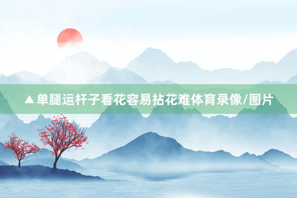▲单腿运杆子看花容易拈花难体育录像/图片