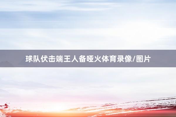 球队伏击端王人备哑火体育录像/图片