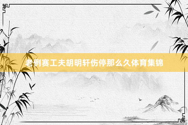 老例赛工夫胡明轩伤停那么久体育集锦