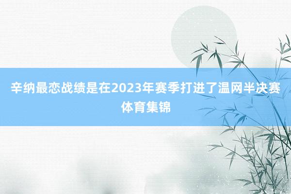 辛纳最恋战绩是在2023年赛季打进了温网半决赛体育集锦