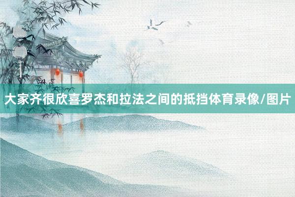 大家齐很欣喜罗杰和拉法之间的抵挡体育录像/图片