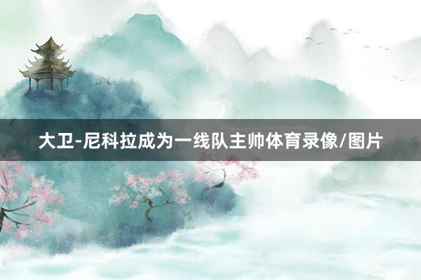 大卫-尼科拉成为一线队主帅体育录像/图片