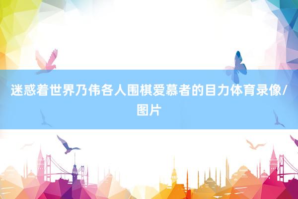 迷惑着世界乃伟各人围棋爱慕者的目力体育录像/图片