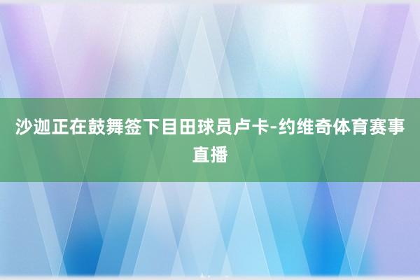 沙迦正在鼓舞签下目田球员卢卡-约维奇体育赛事直播
