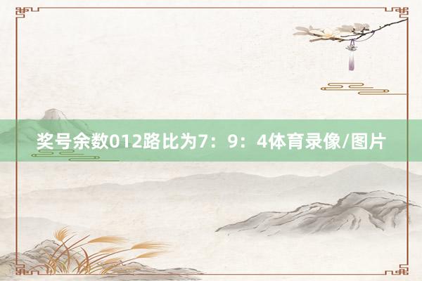 奖号余数012路比为7：9：4体育录像/图片