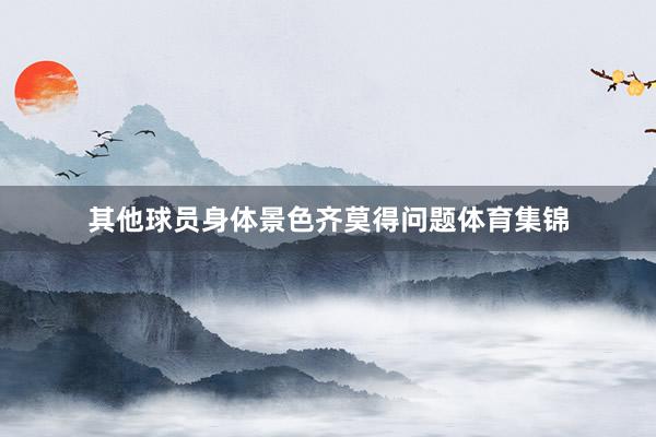 其他球员身体景色齐莫得问题体育集锦