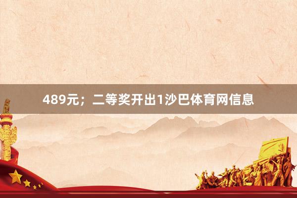 489元;二等奖开出1沙巴体育网信息