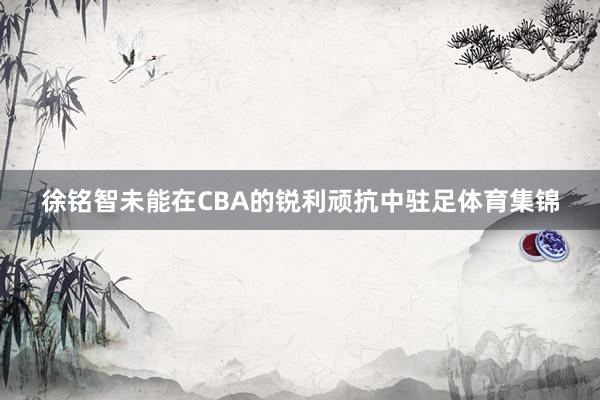 徐铭智未能在CBA的锐利顽抗中驻足体育集锦