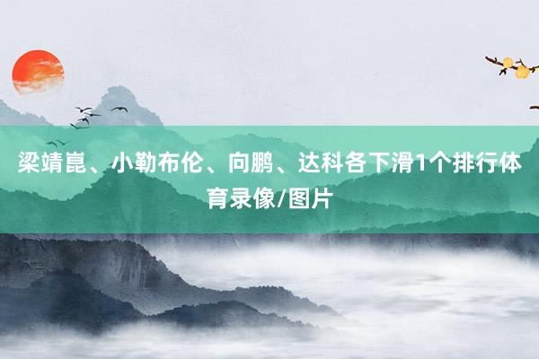 梁靖崑、小勒布伦、向鹏、达科各下滑1个排行体育录像/图片