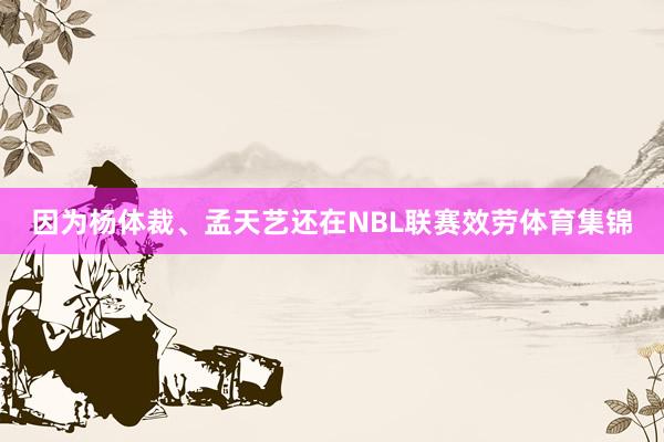 因为杨体裁、孟天艺还在NBL联赛效劳体育集锦