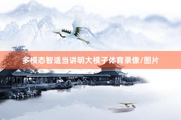 多模态智适当讲明大模子体育录像/图片
