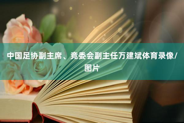 中国足协副主席、竞委会副主任万建斌体育录像/图片