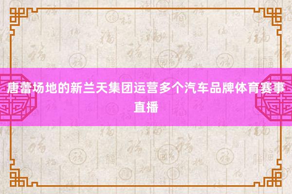 唐蕾场地的新兰天集团运营多个汽车品牌体育赛事直播