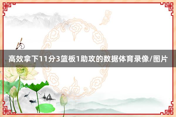 高效拿下11分3篮板1助攻的数据体育录像/图片