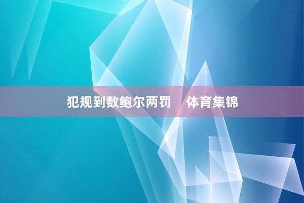 犯规到数鲍尔两罚    体育集锦