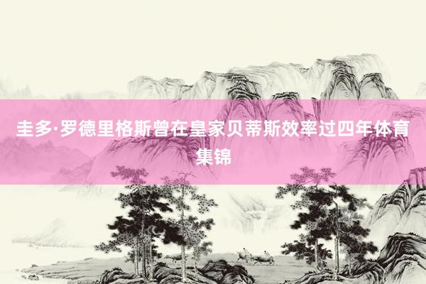 圭多·罗德里格斯曾在皇家贝蒂斯效率过四年体育集锦