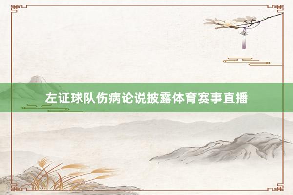 左证球队伤病论说披露体育赛事直播