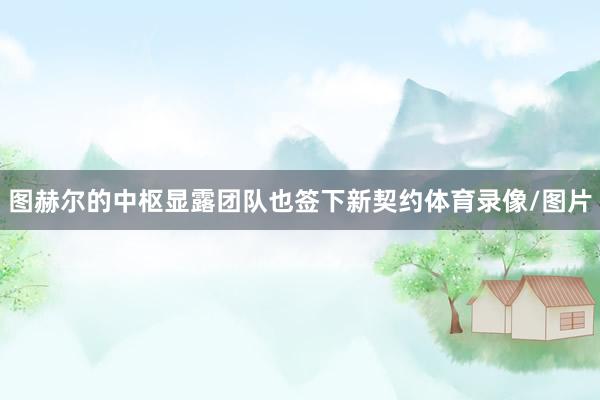 图赫尔的中枢显露团队也签下新契约体育录像/图片