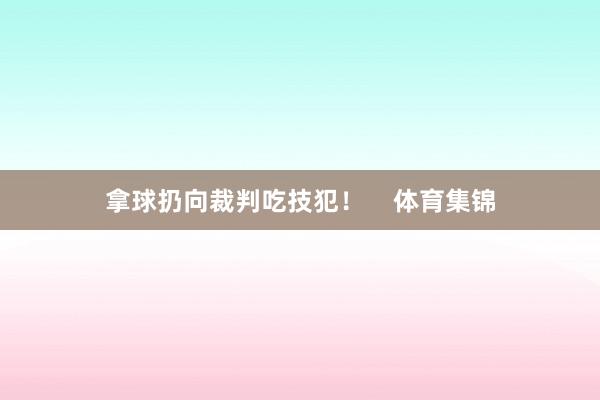 拿球扔向裁判吃技犯！    体育集锦