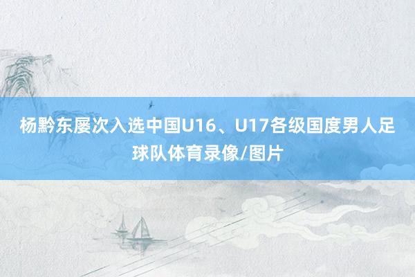杨黔东屡次入选中国U16、U17各级国度男人足球队体育录像/图片