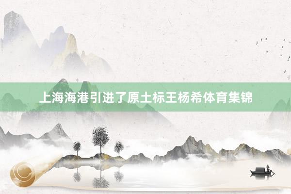 上海海港引进了原土标王杨希体育集锦